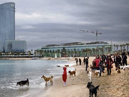 Vecinos de Barcelona con sus perros en la playa.