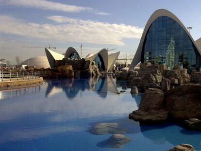 L&#039;Oceanogr&agrave;fic de Valencia.