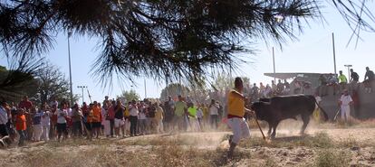 Un picador trata de clavar una lanza al toro durante la fiesta del  Toro de la Vega, en la localidad de Tordesillas.