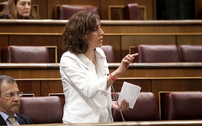 La diputada de UPyD Irene Lozano ha interpelado al ministro de Defensa, Pedro Morenés, en la sesión de control al Gobierno.