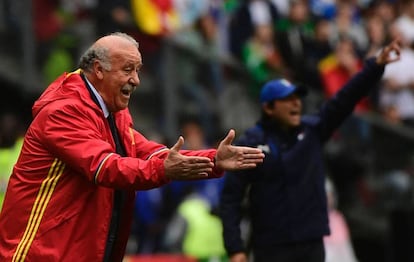 Spain's national soccer coach, Vicente del Bosque.