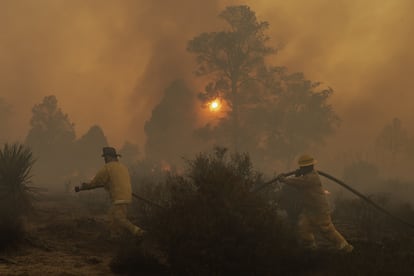 Bomberos combaten un incendio en el poblado de La Rumorosa.