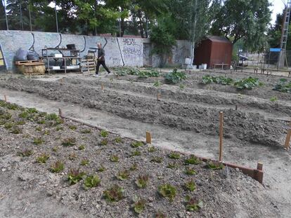 El huerto urbano de Alameda de Osuna, que participa en esta iniciativa.