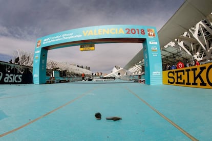 La meta del Mundial de Medio Maratón de Valencia en la Ciutat de les Arts.