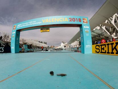La meta del Mundial de Medio Maratón de Valencia en la Ciutat de les Arts.