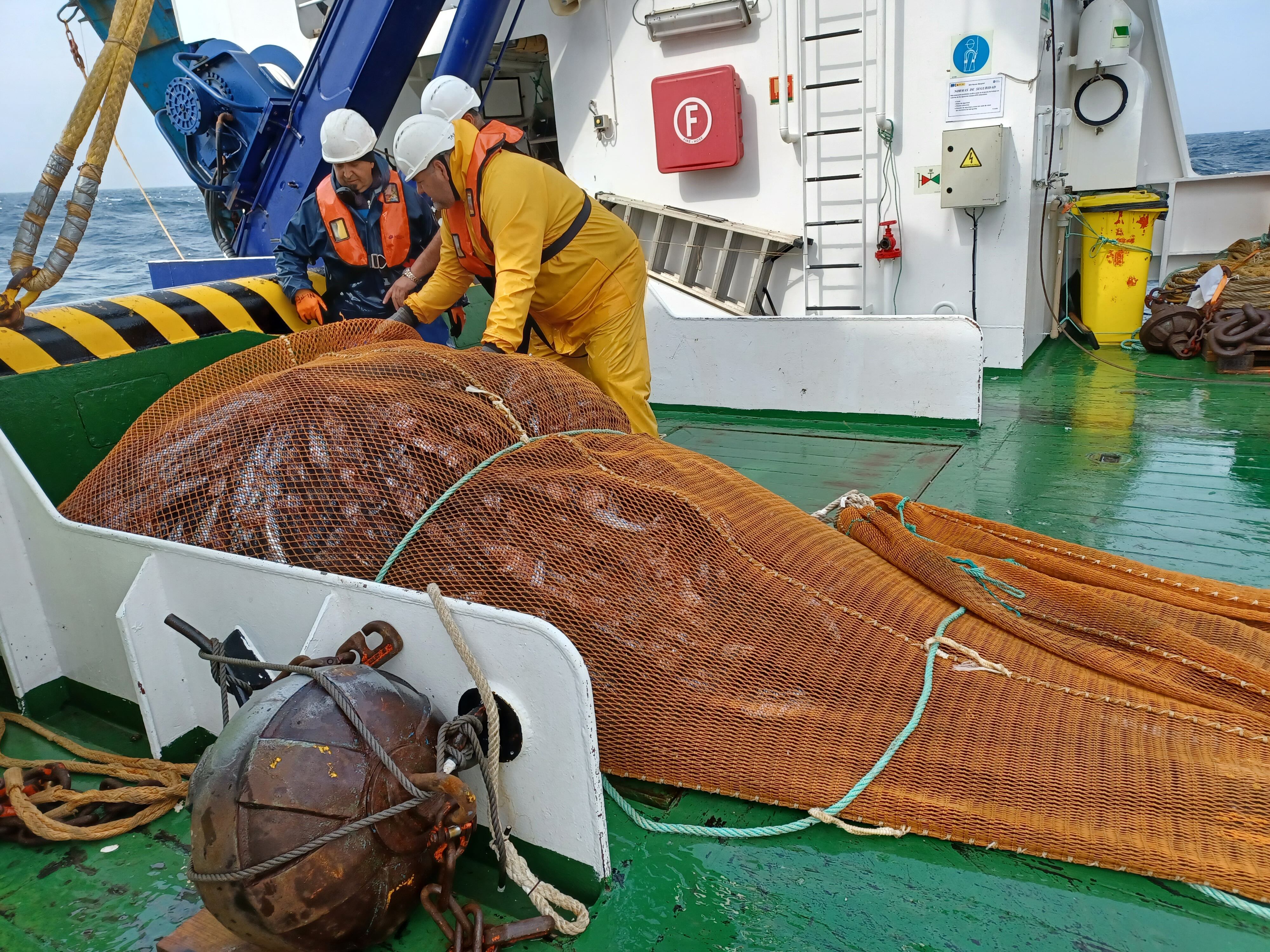 Captura de pescado en el Golfo de Bizkaia.