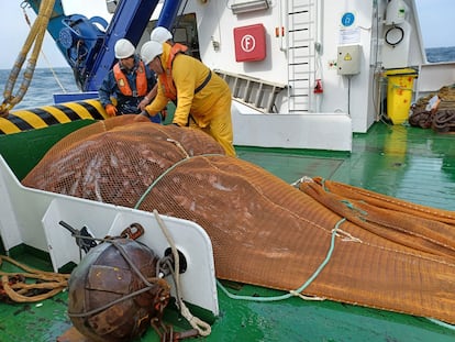 Captura de pescado en el Golfo de Bizkaia.