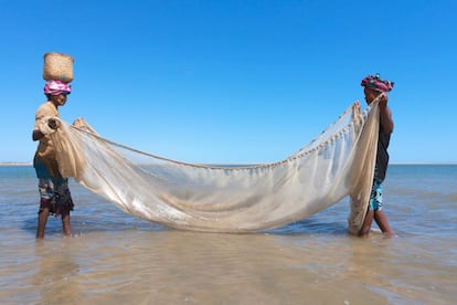 El segundo cambio en la naturaleza de impacto global es la explotación de organismos —el 33% de los recursos pesqueros marinos eran explotados a niveles insostenibles en 2015—. En la imagen, mujeres malgaches, de la etnia Vezo, pescan en Modondava (Madagascar).
