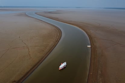 sequía en la amazonia