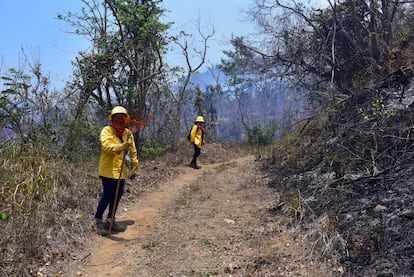 Bomberos trabajan en el Parque Nacional, este jueves.