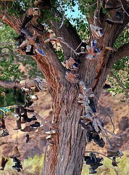 Un árbol lleno de zapatos, en Nevada, Estados Unidos.