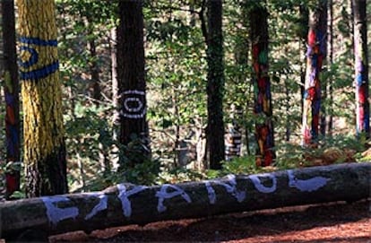 En la imagen, un árbol del bosque de Oma, con una pintada en la que se lee "Españoles".