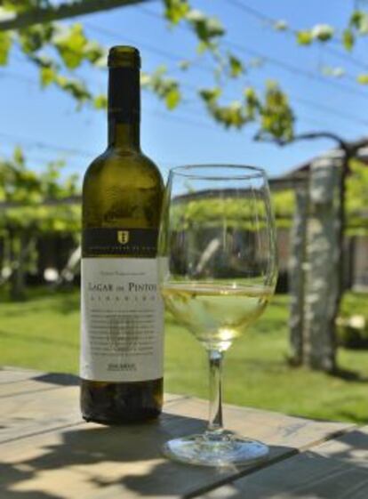 Lagar de Pintos produce básicamente vinos de la variedad albariño.