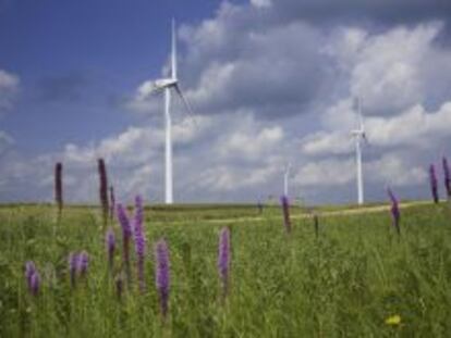 Parque e&oacute;lico de Moraine, propiedad de Iberdrola, en Minnesota (Estados Unidos).