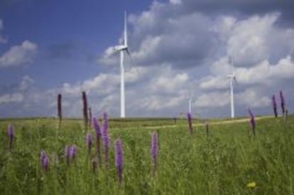Parque eólico de Moraine, propiedad de Iberdrola, en Minnesota (Estados Unidos).