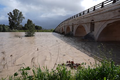 Una foto del río Guadalete a su paso por Jerez de la Frontera (Cádiz), el lunes.