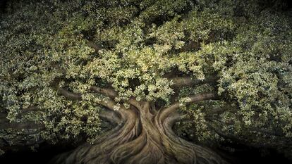 Un árbol del caucho, una especie presente en Europa pero nativa de India e Indonesia, que la artista Irene Kung retrató en 2007. 