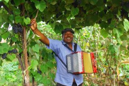 El músico Julinho da Concertinha, de origen caboverdiano.