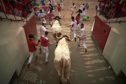 Los toros de la ganadería gaditana de Núñez del Cuvillo entran a la Plaza.