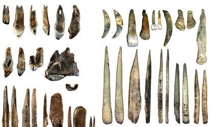 A la izquierda, colgantes hechos de dientes y punzones de huesos tallados por los 'Homo sapiens' de la cueva de Bacho Kiro, en Bulgaria, hace unos 45.000 años. A la derecha, colgantes y punzones tallados por neandertales en Francia unos 3.000 años después.