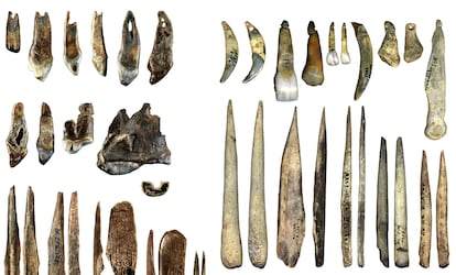 A la izquierda, colgantes hechos de dientes y punzones de huesos tallados por los 'Homo sapiens' de la cueva de Bacho Kiro, en Bulgaria, hace unos 45.000 años. A la derecha, colgantes y punzones tallados por neandertales en Francia unos 3.000 años después.