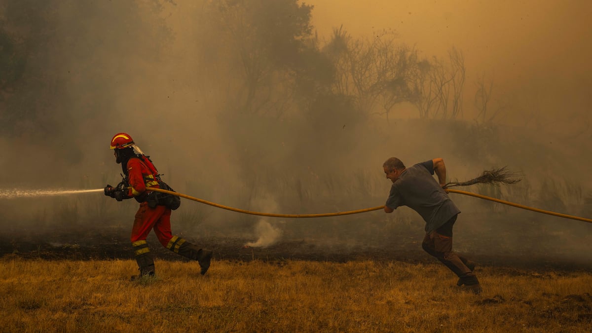 Los fuegos de agosto arrasaron una décima parte de la Red Natura de Galicia