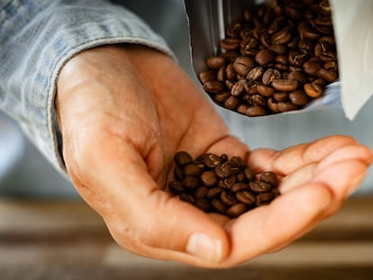 Un hombre sostiene café en grano en su mano.