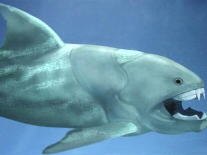 Las mandíbulas más poderosas de todos los tiempos