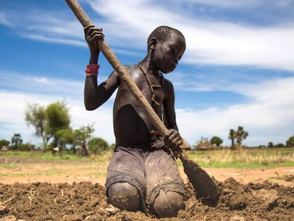 Nyibol Lual, un ni&ntilde;o de 13 a&ntilde;os, ayuda a su familia a preparar la tierra para el cultivo de sorgo en Panthau, Sud&aacute;n del Sur.