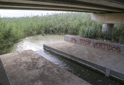 Una pintada contra los vertidos producidos por las explotaciones de regadío en la desembocadura de la rambla en el Mar Menor. La formación de juncos debido al exceso de agua es síntoma de la gravedad de la situación, según la plataforma Pacto por el Mar Menor.