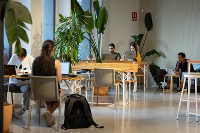 Varios jóvenes en la cafetería del espacio de 'coworking' Itnig del barrio del Poblenou de Barcelona.