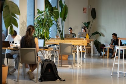 Un grupo de jóvenes trabaja en un espacio compartido en Barcelona.