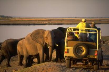 Un todoterreno pasa entre elefantes en Botsuana.