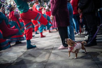 Un perro le ladra a los artistas durante una de las presentaciones navideñas.