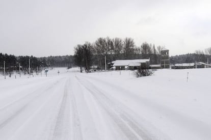 Vista del pinar de Camposagrado (León) afectado por el temporal de nieve que esta sufriendo la provincia.