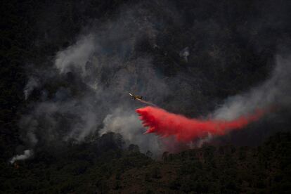 Un avión participa en las labores de extinción del fuego en Sierra Bermeja, Málaga, este viernes.