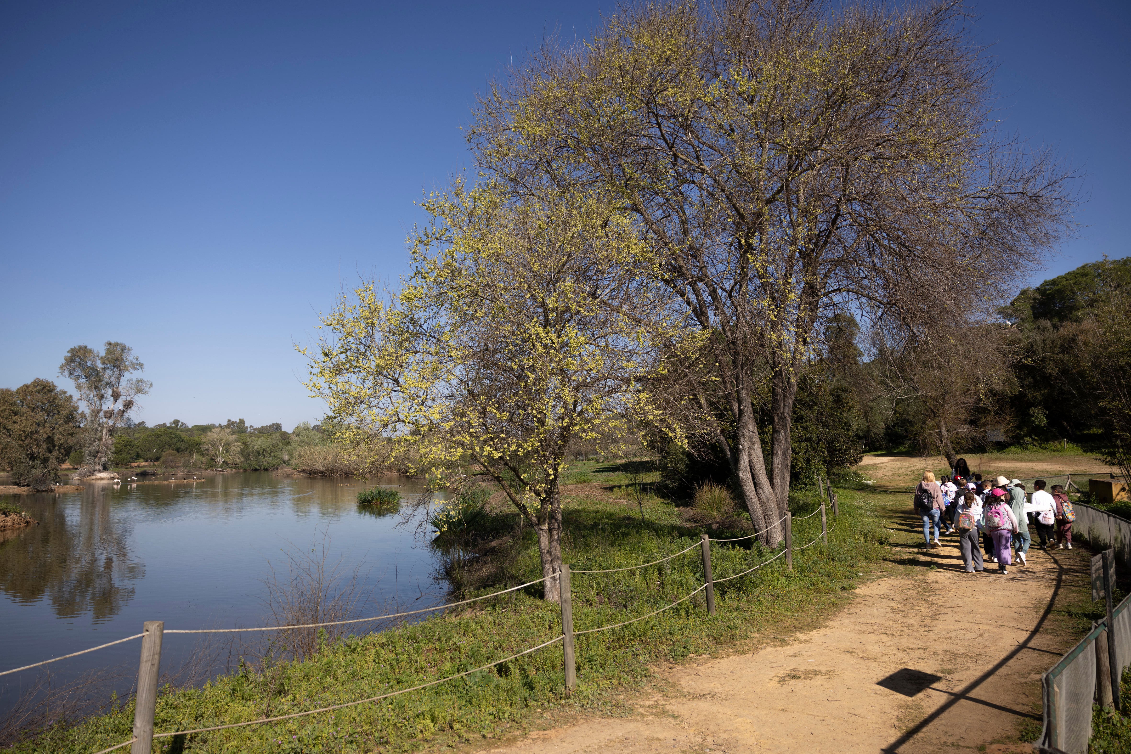 Un grupo de escolares recorre uno de los senderos de La Cañada de los Pájaros.