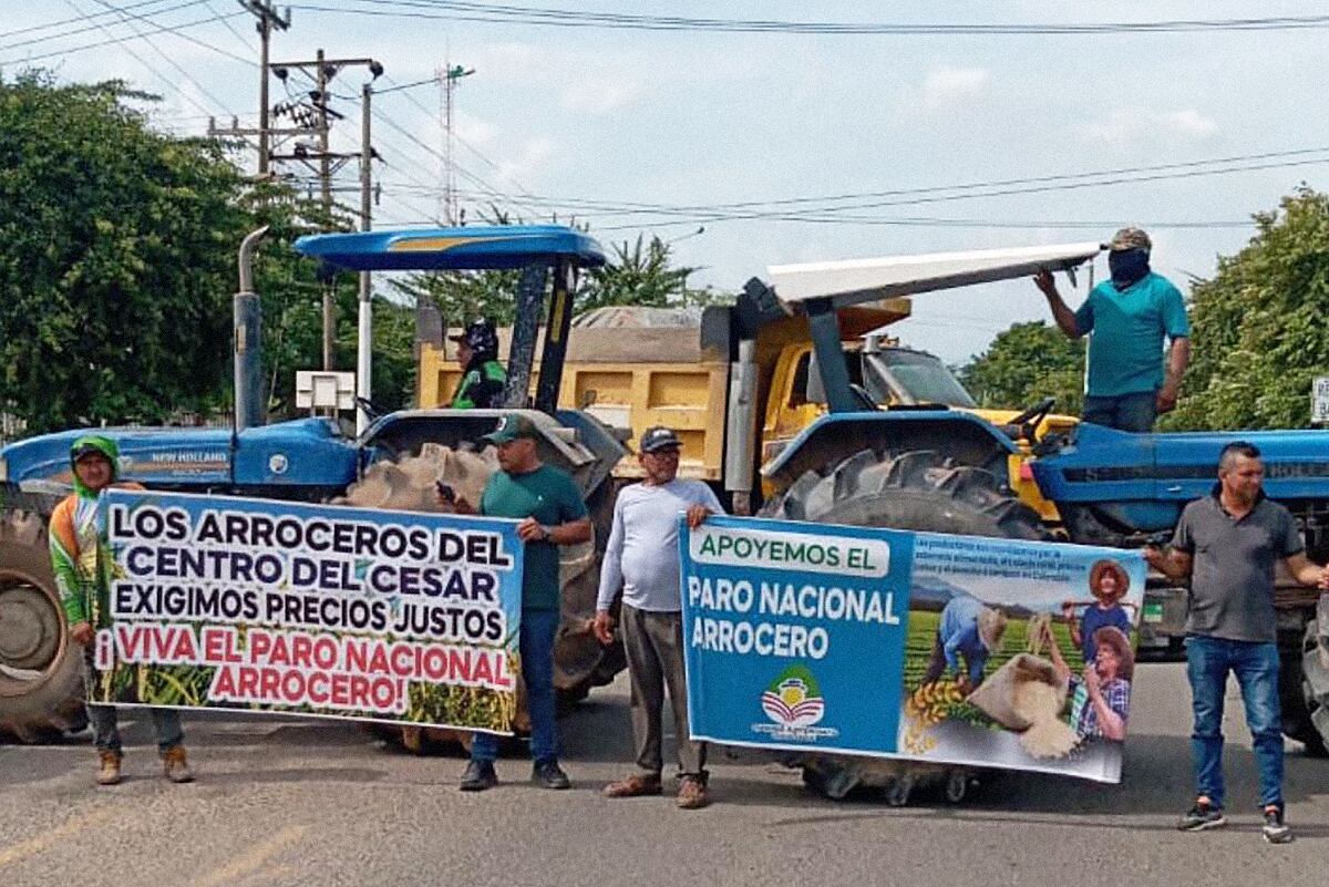 Paro arrocero en Colombia: qué exigen los productores y qué propone el Gobierno para frenar los bloqueos