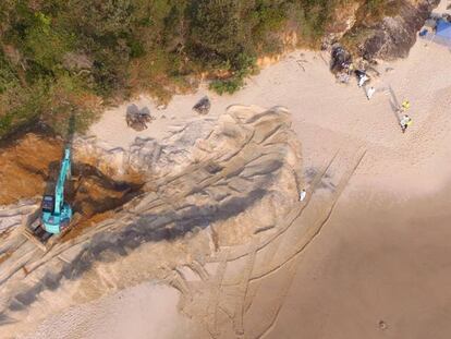Tareas de exhumaci&oacute;n de la ballena jorobada en la playa de Nueva Gales del Sur.