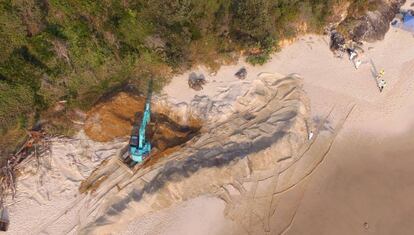 Tareas de exhumaci&oacute;n de la ballena jorobada en la playa de Nueva Gales del Sur.