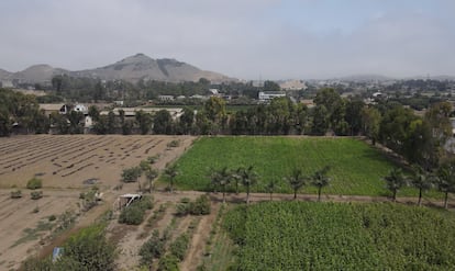 Las pocos más de 2000 hectáreas del valle bajo de Lurín debería lucir más o menos así y dar lugar a un Parque Rural Cultural Metropolitano.