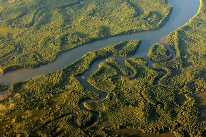 Ríos y lagos del parque nacional de Corcovado (Costa Rica), fotografiados desde un avión.