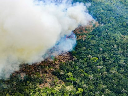 Focos de deforestación en el departamento de Guaviare, en febrero de 2022.