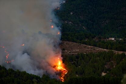 Incendio declarado en las inmediaciones del municipio alicantino de Tárbena, este domingo.
