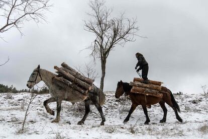 Un leñador dirige a dos caballos cargados de madera durante una deforestación cerca de Sofía (Bulgaria).