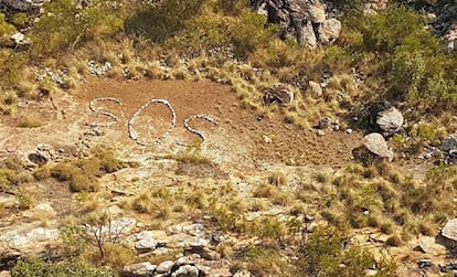 Mensaje de SOS hallado en Australia.
