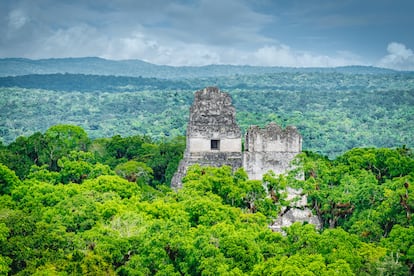 Vista del templo IV de Tikal Guatemala