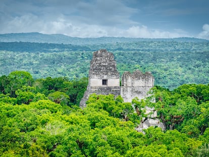 Vista del templo IV de Tikal, un yacimiento maya en el departamento de Petén (Guatemala).