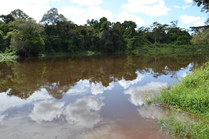 El río Dja en el margen sur de la reserva / Chema Caballero