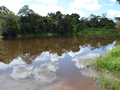 El río Dja en el margen sur de la reserva / Chema Caballero